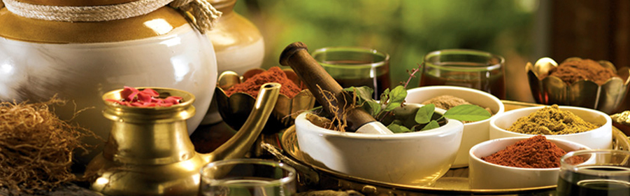 Ayurveda Spa Holidays