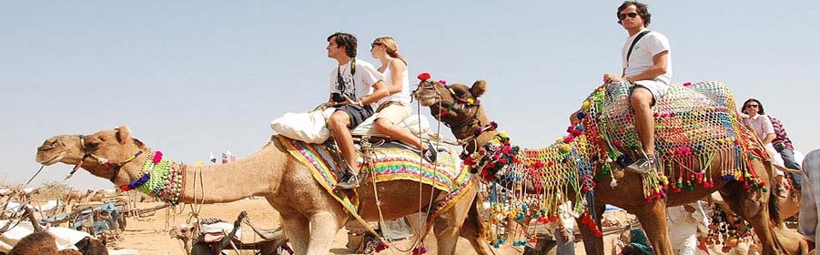 Tigar safari Rajasthan